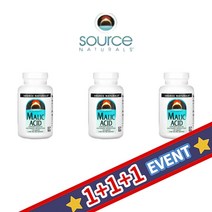 소스내추럴스 2+1 마그네슘 말레이트 사과산 말산염 2500mg 120정, 1개, 기본