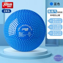 투포환 공 스포츠 연습용 입시 트레이닝 육상용품 던지기 훈련 체육부, 2KG 포환 블루