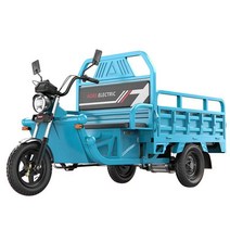 농업용 전동차 전기차 3발 삼륜 시골 운반 화물 운송, 1.3X0.9m 격실 60A