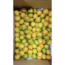 제주직송 제주감귤 탱귤탱귤 귤로맛집 남원 하례리 하우스 귤 로얄소과 2kg 3kg 5kg, 1개