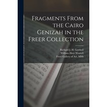 (영문도서) Fragments From the Cairo Genizah in the Freer Collection Paperback, Hassell Street Press, English, 9781013774942