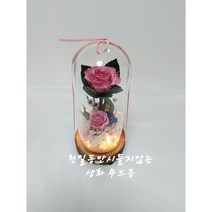 3년동안 시들지않는 생화장미 무드등 꽃선물 생일선물 축하선물 프리저브드 꽂, 빨강장미,분홍장미