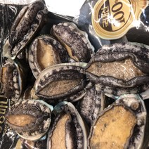 바다꽃 신선한 완도 전복 13-14미 1kg