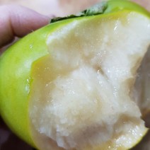 태추단감 배단감, 가정용 2kg 소과 11-14과, 1개