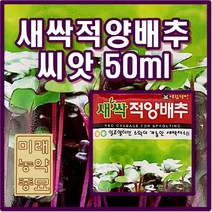 새싹 적양배추 씨앗 (50ml) -새싹 전용씨앗/이태리 원산지 /23년 생산