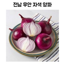 국산 국내산 자색양파 김치용 반찬용 즙용 쌈채소 가정용 전남 무안 3kg 5kg, 1개
