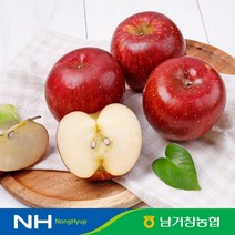 [남거창농협]아삭아삭 달콤 꿀 사과5kg대과14-16과내외, 없음
