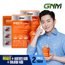 [GNM자연의품격] 루테인 11 2박스 / 비타민 6종 + 미네랄 4종 눈건강 비타민B 아