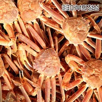 [어부의정성] 구룡포 박달대게 2kg내외 6미내외(몸통75%/다리80%), 상태:2. 자숙
