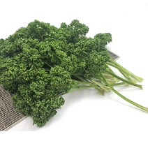야채왕 생 파슬리 300g