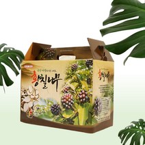 노란옻나무 즙 100ml 파우치 타입 60포1박스 국내산 황칠나무 진액 엑기스