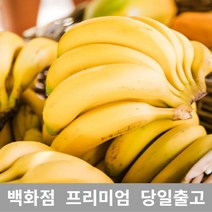 가락청과네 바나나 바나나도매 바나나가격 1kg352099EA * HONI, 1개, 본상품선택