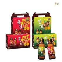 웅진식품 홍삼꿀D/헛개꿀D (100mlX10병)x2, 홍삼꿀D (100mlx10)x2 케이스증정