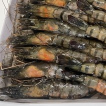 무료배송Event중)블랙타이거새우 대짜10마리 마리당 35g 내외(캠핑용 구이용)