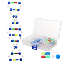 생물수업 DNA 자기복제과정 이중나선 모형세트 유기체 세포핵 구조모형