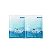 코멕스 아이스탱크 젤팩1호(310g) 2개 아이스팩, 1개