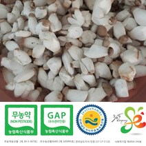 새송이는마니꺼 새송이버섯, 1box, 2kg조림(미니)