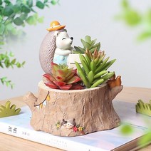 ROOGO 루고 화분 고슴도치의 겨울 이야기 이사를 해요
