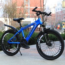 전동오토바이 전동자전거 전기자전거 치앙메이치 산악 MTB, 21단, 형광 블루 하이 매칭