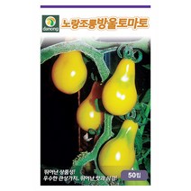 밀크티쓸 흰무니 엉겅퀴 2g - 씨 씨앗 밀크씨슬 엉겅퀴씨앗 나물 나물씨앗 채소씨 채소씨앗 흰무니엉겅퀴, 12_다농_노랑 조롱방울토마토(50립)