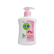 데톨 항균 핸드워시 스킨케어 250ml 용기 세정 비누 손세정 손세척, 상세페이지 참조, 상세페이지 참조, 상세페이지 참조