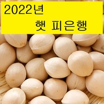 2022년 햇은행 박경철 농장 피은행 (특대/대/중) 1kg, 피은행/대 1KG, 1개, 1개