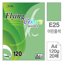 [RAΕ] 삼원 플라잉 칼라 E25 어린풀색 A4 120g 20매 고급면지 인쇄종이 사무용색지 미술용 색종이 초청장 디자인 초대장 디자인용 ▷_4Ε470Ea, Ε본상품선택!