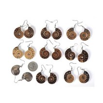 BUTW 수석 삼엽충 관찰 장식품 수집품 암모나이트 화석