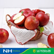 맛딜 남거창농협달콤아삭 꿀 사과 5kg꼬마과27-29과 내외, 없음
