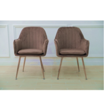 골드임페리얼 식탁의자 2p, 초코브라운