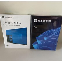 (항공배송) 윈도우10 윈도우11 pro 컴퓨터 설치용 USB CD 패키지 라이센스 동봉, win11 pro 64비트 영어 USB 팩