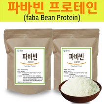The큰나무 파바빈 프로테인 분말 280g 자이언트 파바빈 콩 가루, 2팩