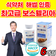 식약처 인증 인도산 보스웰리아 추출물 분말 알약 형태 정 보스 보수 보슬 웰실리아 벨리아 월아 렐리아 웰리스 웰리아 윌리아 넬리아 렐리아 허리 손가락 무릅 무릎 관절 연골 사은품, 6개월 분, 1100mgX90정