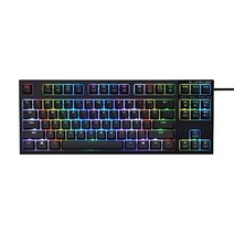 토프레 REALFORCE 리얼 포스 영어 배열 텐키리스 REALFORCE R2 RGB TKL US R2TLA-US4G-BK