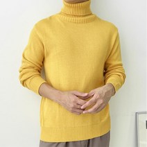 남성 무지 컬러 목폴라니트 겨울 이너 봄니트 클래식 코디 가을니트 남성목폴라 심플