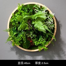 행인플렌트 행잉플랜트 조화 다육이잎꽂이 다육용월 벽 아트 인테리어, 색상 분류: 샴페인 직경 40cm