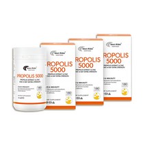 굿소일직구 Natures Wisdom 프로폴리스 5000mg 고농축 540캡슐, 뉴질랜드 내수용 프리미엄 건강식품