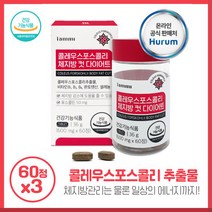 체지방 관리 콜레우스포스콜리 체지방컷 60정X3개 콜레우스포스콜리 추출물 함유 비타민B군 배합 체중감소, 상세페이지 참조, 상세페이지 참조