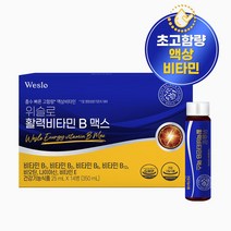 위슬로 활력 비타민 B 맥스 고함량 액상 흡수 빠른 활력비타민, 1박스, 14병