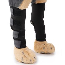 강아지 십자인대 보호대 탈구예방 보조기 S 요크셔테리 말티즈 반려묘 탁스훈트 치와와 무릅 비숑 슬개골 파피용 토이푸들 부목 애견 퍼그 지지대 개, 1개, 블루