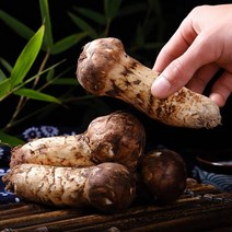 자연산 냉동 송이 버섯 자연 송이버섯 1kg, 1kg (2등급), 1개