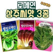 씨앗팜 로메인 상추 씨앗 3종 세트 청로메인 적로메인 미니 로메인 종자 상추씨, 1세트