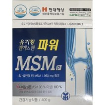유기황 엠에스엠 파워 MSM 400g, 1개