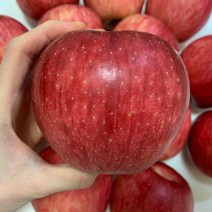 껍질째 먹는 영주 꿀사과 햇사과 부사 5kg 10kg, 10kg정품(34-36과)