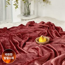 [모던하우스 인천논현점] 3도씨 발열 극세사 담요 레드 150X200 (CV2421005)