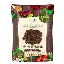 푸른들판 국내산 개다래 열매 충영, 100g