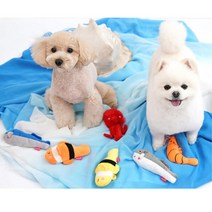 푸들 애견 바스락 소형견장난감 인형 이갈이 봉제장난감 2개월 닥스훈트 스트레스해소 분리불안, 1개