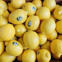 미국산 칠레산 레몬 정품 레몬 7개입 20개입 40개입