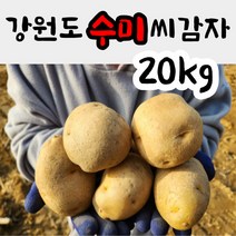 강원도 씨감자 수미 ( 야채 반찬용 ) 20kg 감자종자 감자씨앗 수미씨감자, 수미씨감자 20kg