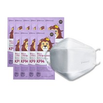 웰킵스 스마트 황사 방역마스크 대형 KF94, 1개입, 5개